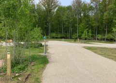 Brown County Reforestation Camp Campground Ready to Go